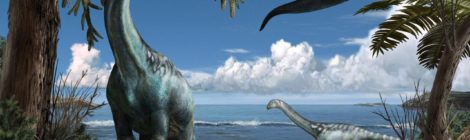 ROSEA =  L'Era Dei Dinosauri I Giganti Della Preistoria - ドキュメンタリーコンプリート= ROSALBA SADDLE