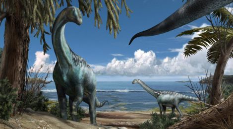 ROSEA =  L'Era Dei Dinosauri I Giganti Della Preistoria - 纪录片完整= ROSALBA马鞍